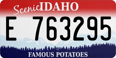 ID license plate E763295