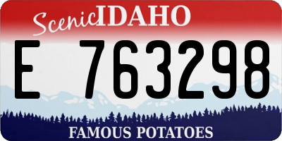 ID license plate E763298