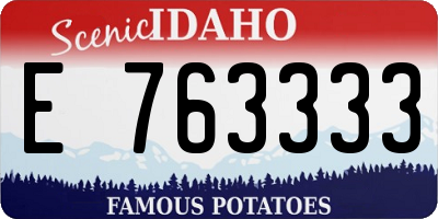 ID license plate E763333