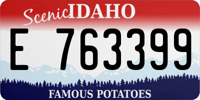 ID license plate E763399