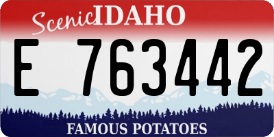 ID license plate E763442