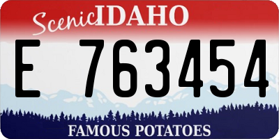 ID license plate E763454