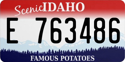 ID license plate E763486
