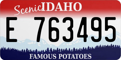 ID license plate E763495