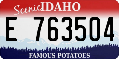 ID license plate E763504