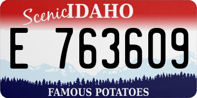ID license plate E763609