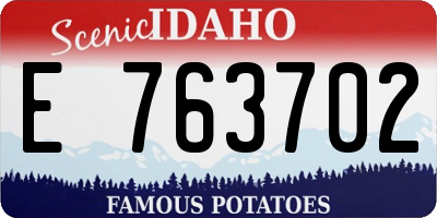 ID license plate E763702