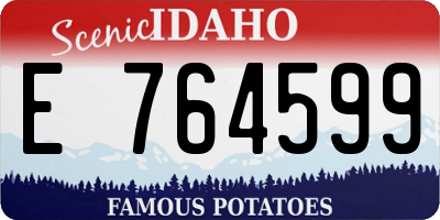 ID license plate E764599