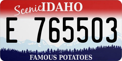 ID license plate E765503