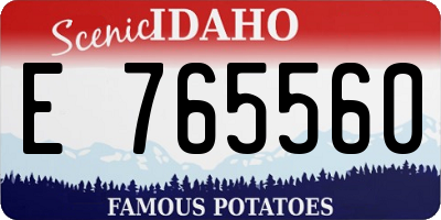 ID license plate E765560