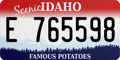 ID license plate E765598