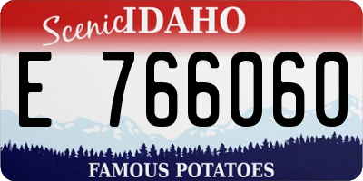 ID license plate E766060