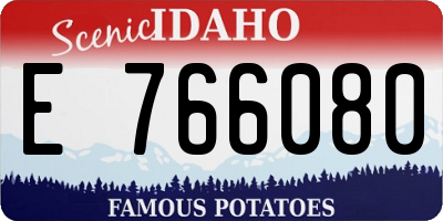 ID license plate E766080
