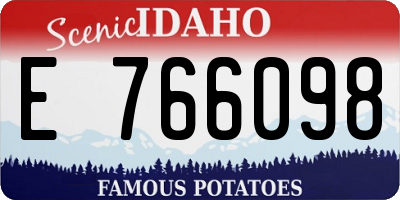 ID license plate E766098