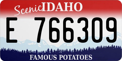 ID license plate E766309