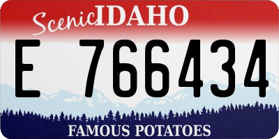 ID license plate E766434