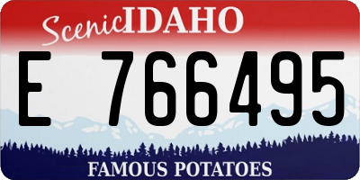 ID license plate E766495