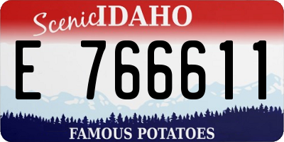 ID license plate E766611