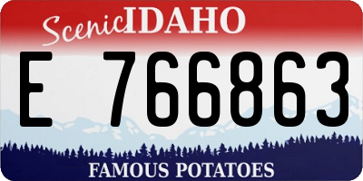 ID license plate E766863