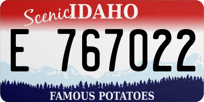 ID license plate E767022
