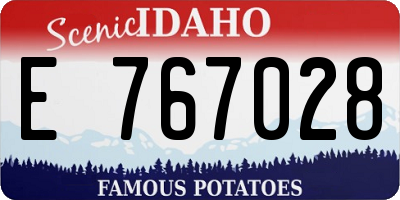 ID license plate E767028