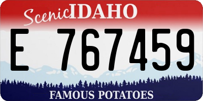 ID license plate E767459