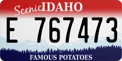 ID license plate E767473