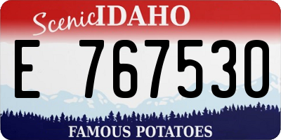 ID license plate E767530