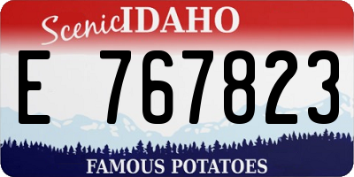 ID license plate E767823