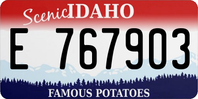 ID license plate E767903