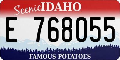 ID license plate E768055