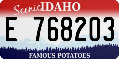 ID license plate E768203