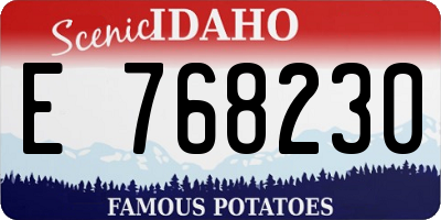 ID license plate E768230