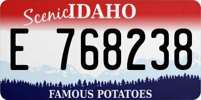 ID license plate E768238