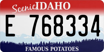 ID license plate E768334