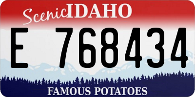 ID license plate E768434