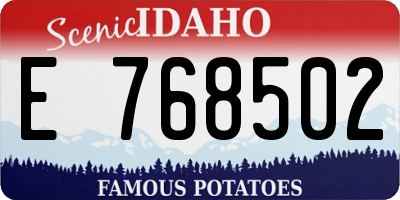 ID license plate E768502