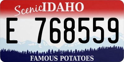 ID license plate E768559