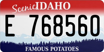 ID license plate E768560