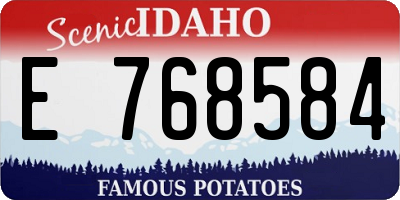 ID license plate E768584