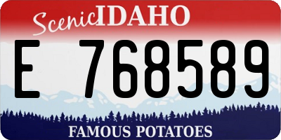 ID license plate E768589