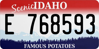 ID license plate E768593