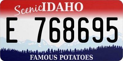 ID license plate E768695