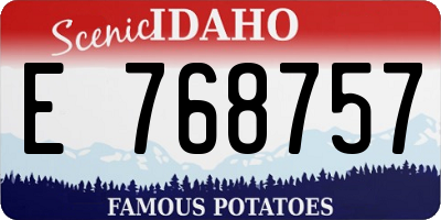 ID license plate E768757