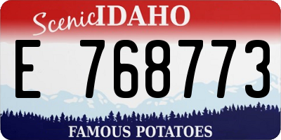 ID license plate E768773