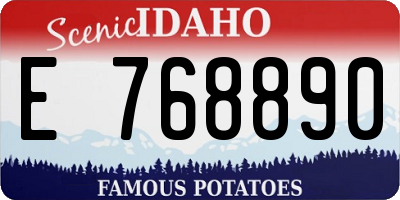 ID license plate E768890