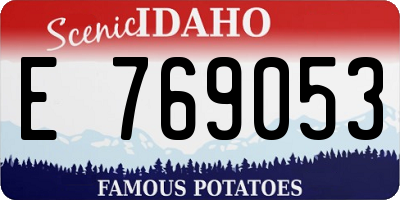 ID license plate E769053