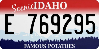 ID license plate E769295