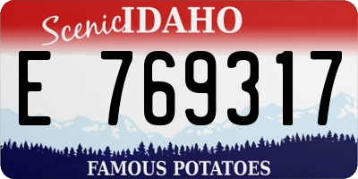 ID license plate E769317