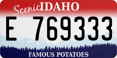 ID license plate E769333